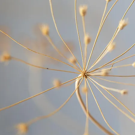 Hotel Spa&restaurant - Son De Mar 4*