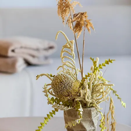 & Restaurant - Son De Mar Porto Vecchio