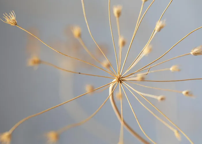 Готель & Restaurant - Son De Mar 4*